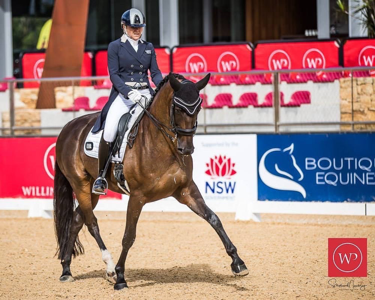 What is the most effective joint supplement for horses?