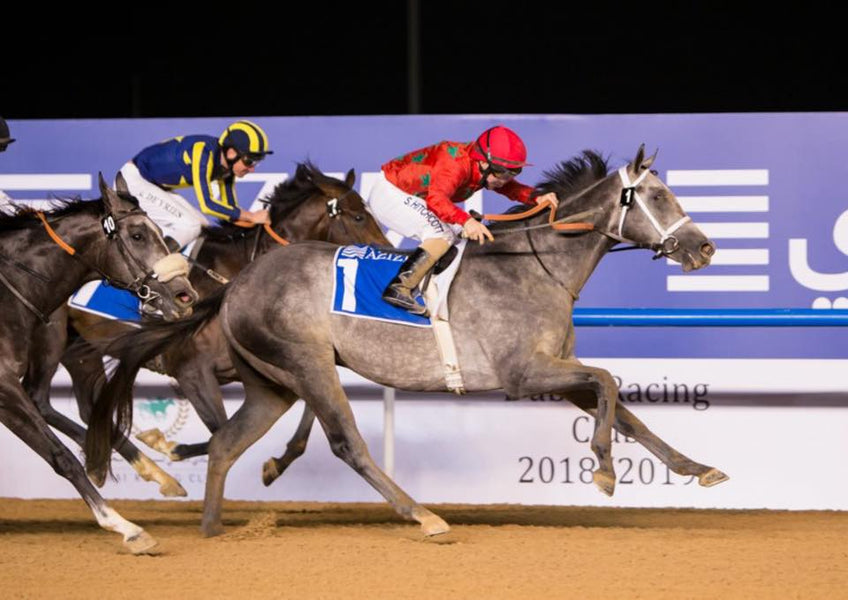 The importance of L-Glutamine in equine recovery.