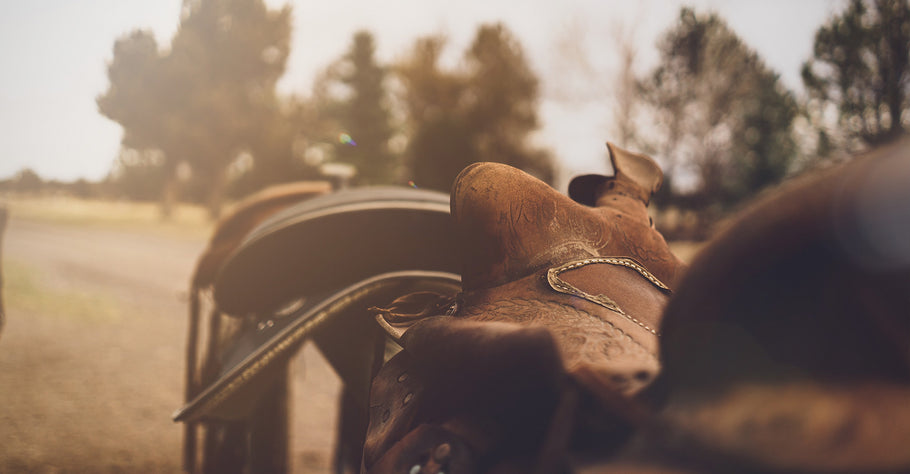 4 Western Horseback Riding Tips for Beginners