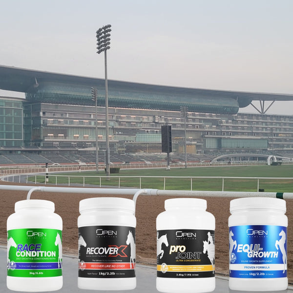 Supporting horse muscle condition and immune function.