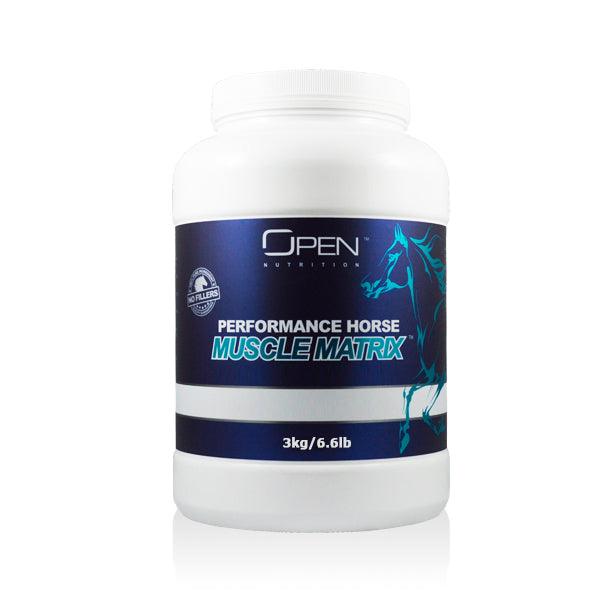 Performance Horse - To Get Horse Racing Results