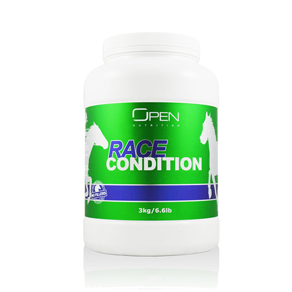Race Condition - To Get Horse Racing Results